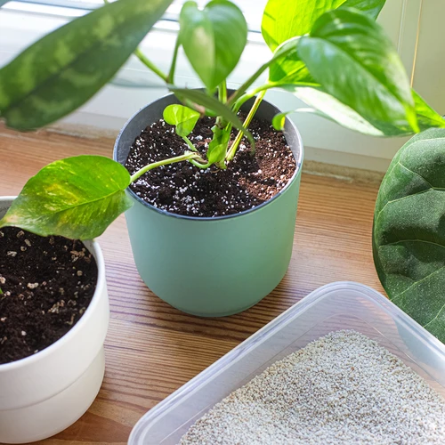 Perlita para plantas em vaso e jardinagem, 2 L - 8