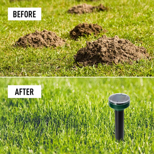 Repelente solar para toupeiras – proteção eficaz, segura e humanitária para o seu jardim, 1 un. - 12