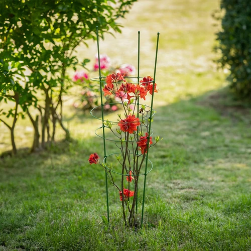 Suporte anelar para plantas, 3 anéis, 0,7 m - 3