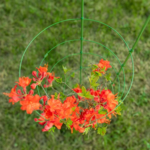Suporte anelar para plantas, 3 anéis, 0,7 m - 4