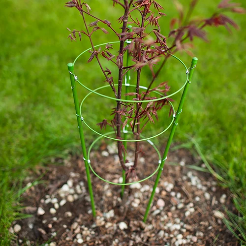 Suporte anelar para plantas — 3 anéis — 1,5 m - 3