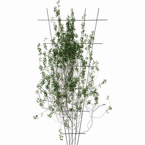 Suporte para plantas – treliça (150 cm x 75 cm), 2 unidades - 3