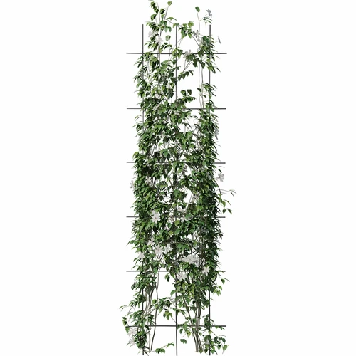 Suporte para plantas – treliça de jardim 150 x 45 cm - 3