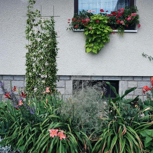 Suporte para plantas – treliça de jardim 150 x 45 cm - 4