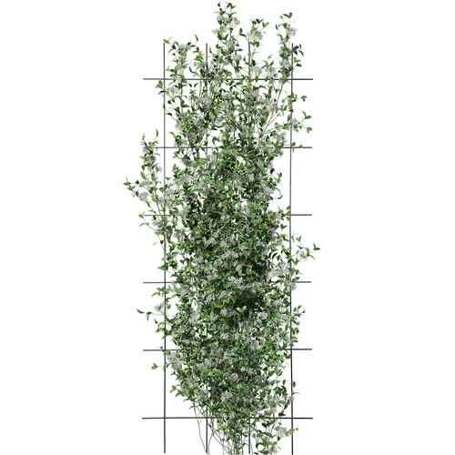 Suporte para plantas – treliça de jardim 150 x 60 cm - 3