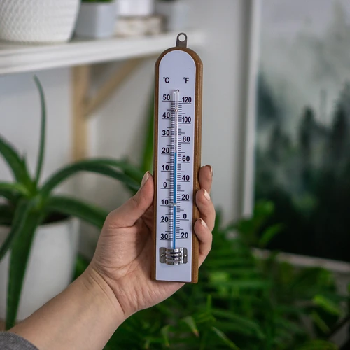Termómetro de ambiente com escala branca (de -30°C a +50°C) 20 cm - 3