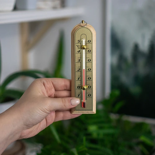 Termómetro de ambiente com escala dourada (-10°C a +50°C) 16 cm - 3