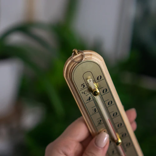 Termómetro de ambiente com escala dourada (-10°C a +50°C) 16 cm - 4
