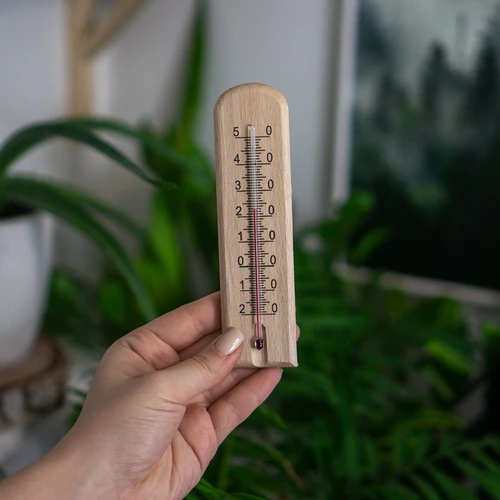 Termómetro de ambiente com padrão (-20°C a +50°C) 15 cm - 4