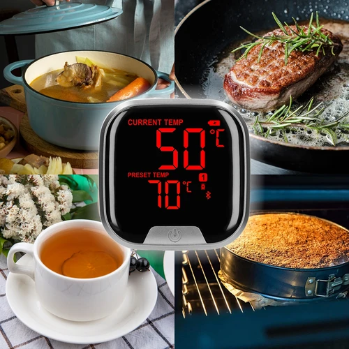 Termómetro de cozinha com Bluetooth, 2 sondas - 15