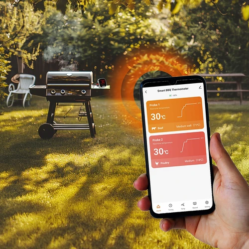 Termómetro de cozinha com Bluetooth, 2 sondas - 12
