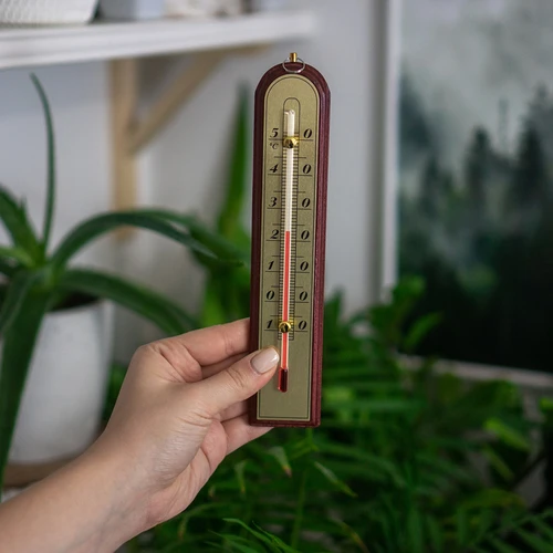 Termómetro de interior com escala dourada (-10°C a +50°C) 22 cm, sortido - 3