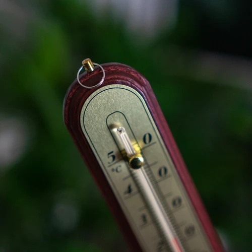 Termómetro de interior com escala dourada (-10°C a +50°C) 22 cm, sortido - 4