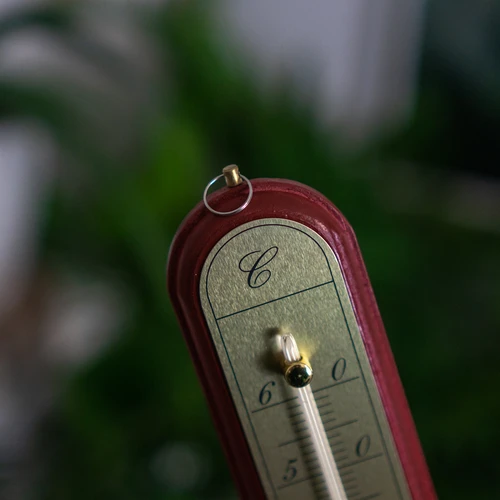 Termómetro de interior com escala dourada (-10°C a +60°C) 28 cm, sortido - 7