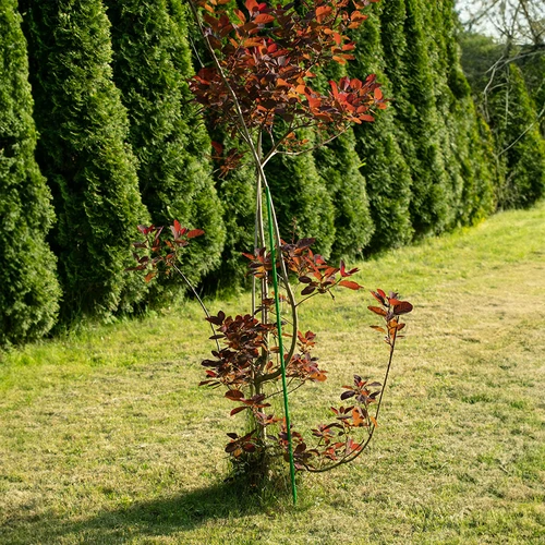 Tutor de aço revestido a PE 1,5 m x 11 mm - 5