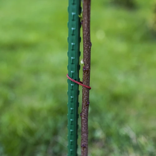 Tutores de jardim Bioogród – aço revestido, 1,2 m, Ø 11 mm, 10 un. - 5