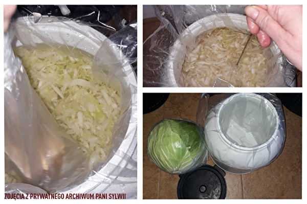 Couve fermentada segundo a receita da Dona Sylwia