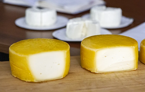 Queijo caseiro tipo Gouda