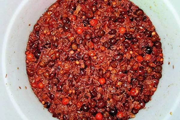 Vinho caseiro de ginja e groselha-espim