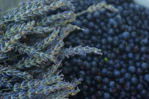 Vinho caseiro de lavanda e mirtilo