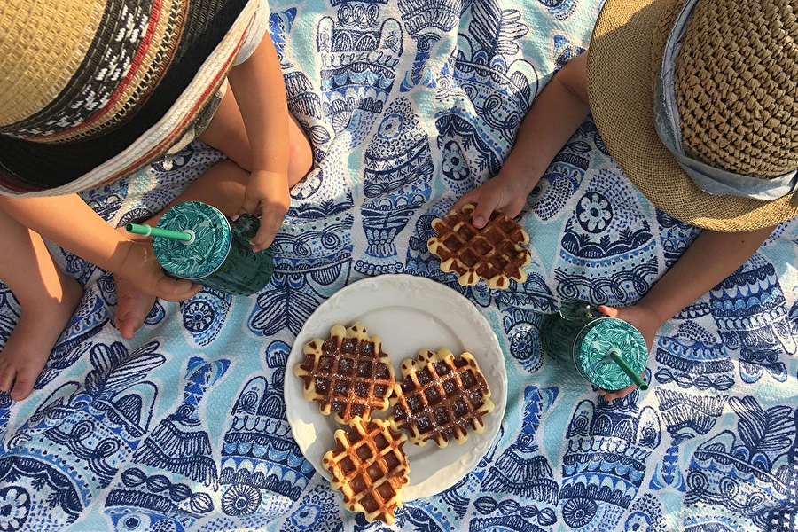 Browin Przepiśnik - Deliciosos gofres levedados