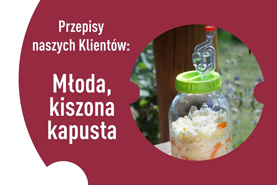 Browin Przepiśnik - Receitas dos nossos Clientes: Couve jovem fermentada
